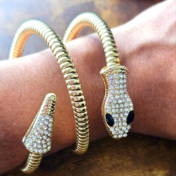 Jewelry - Snake with Pave Crystal Coil Bracelet